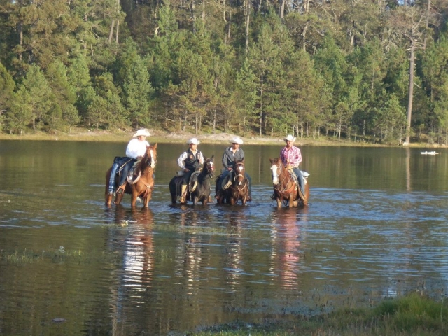 Recorridos en el centro
